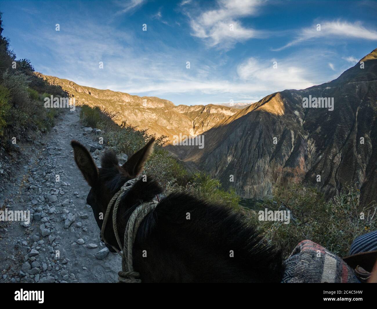horseback in a path in the middle of a mountain and blue sky Stock Photo