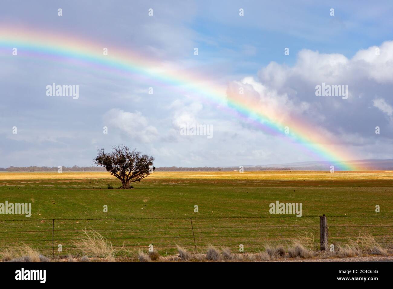 A rainbow shining over a single tree in the country of South Australia on 20th June 2020 Stock Photo