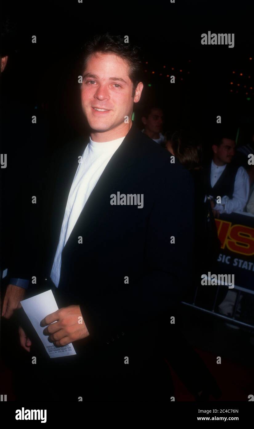 Century City, California, USA 12th November 1995 Actor David Barry Gray attends Columbia Pictures' 'Money Train' Premiere on November 12, 1995 at Cineplex Odeon Century Plaza Cinemas in Century City, California, USA. Photo by Barry King/Alamy Stock Photo Stock Photo