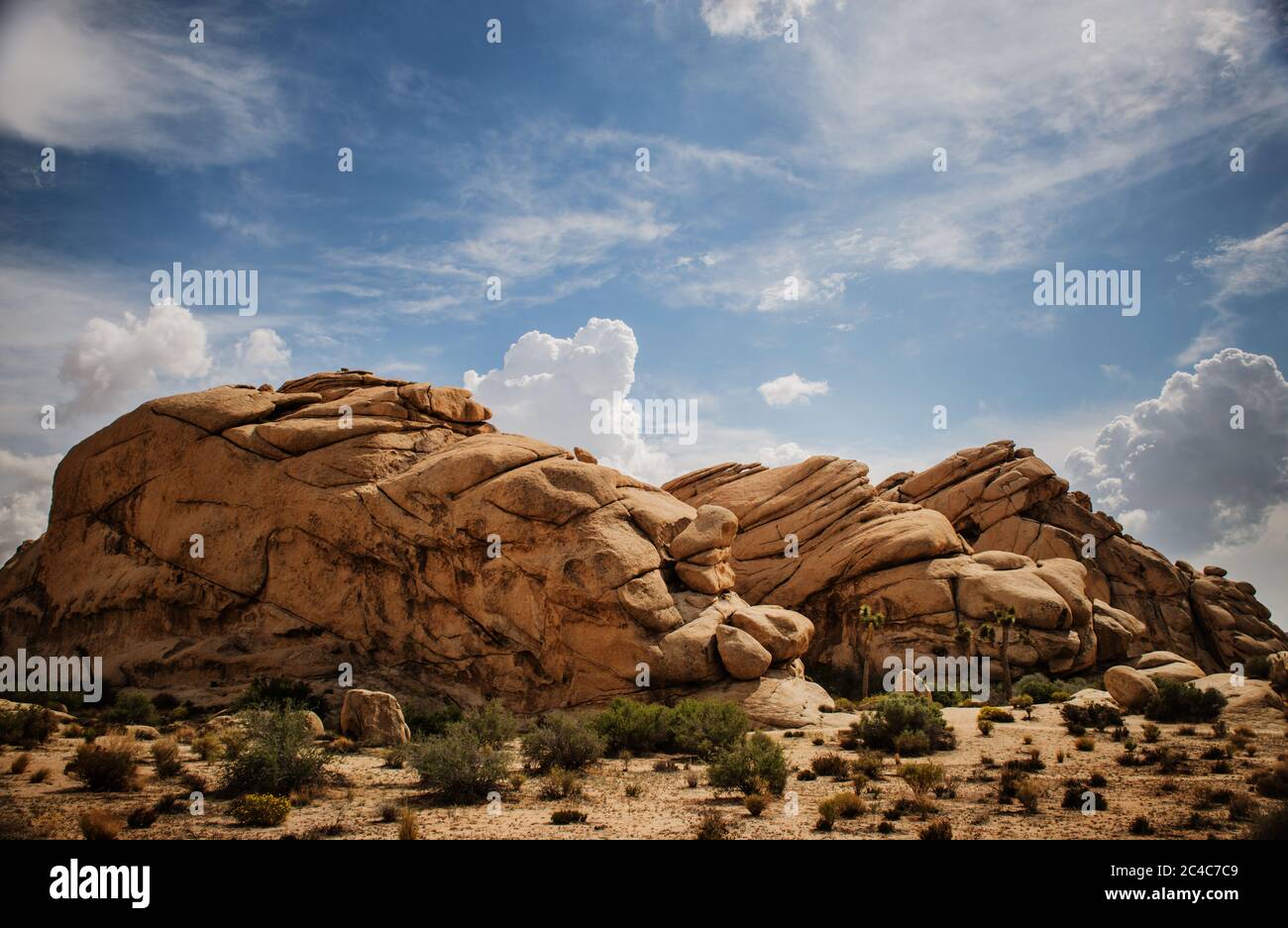 Landscape of Joshua Tree National Park, California Stock Photo - Alamy