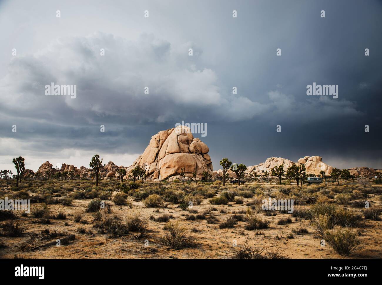 Landscape of Joshua Tree National Park, California Stock Photo - Alamy