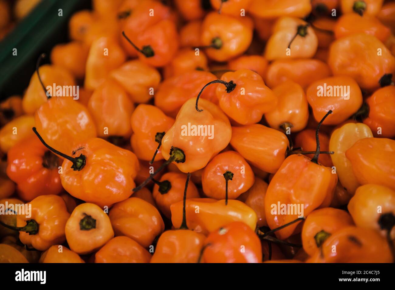 Orange habanero peppers for sale at the market Stock Photo Alamy