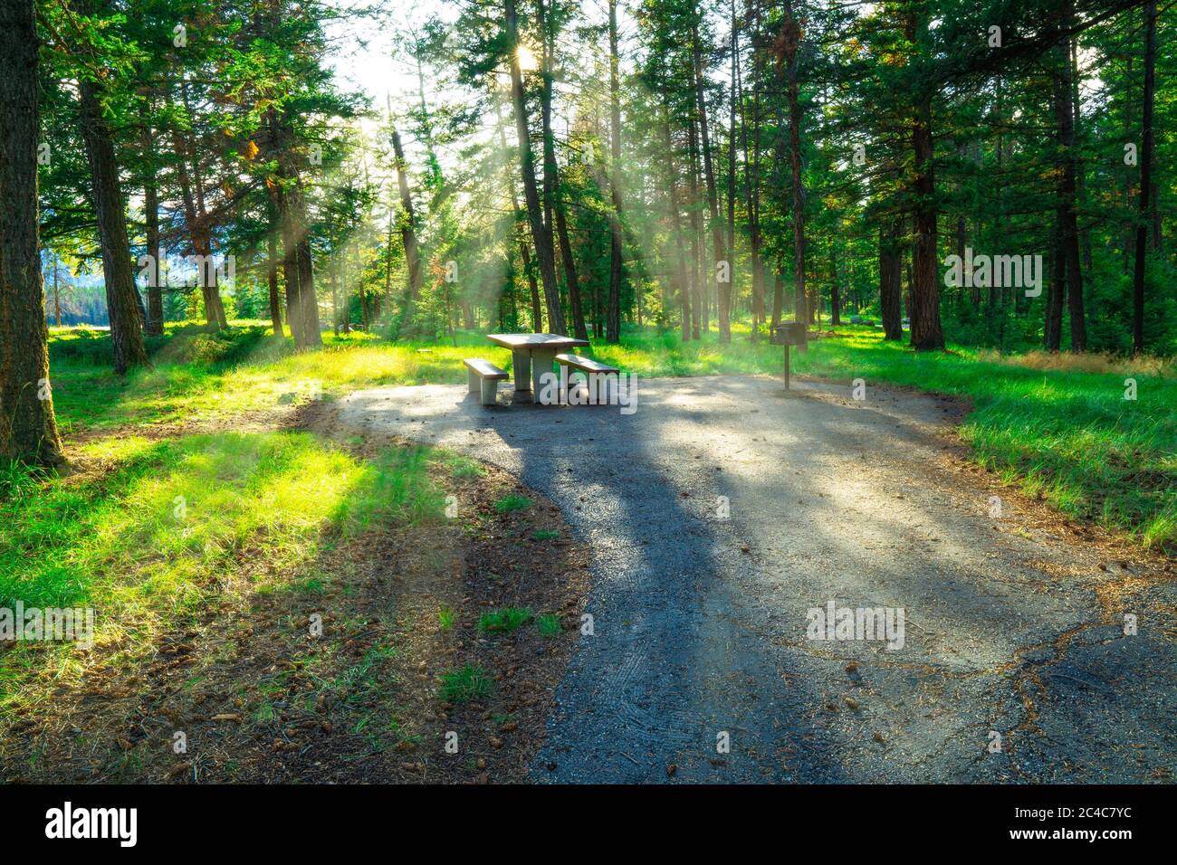 Picnic Table At Forest Park For RV Camping In Sun Rays Stock Photo