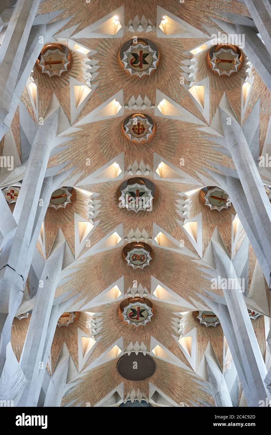 Roof vaulting at Sagrada Familia. Antoni Gaudi wanted the column supports to represent forests Stock Photo