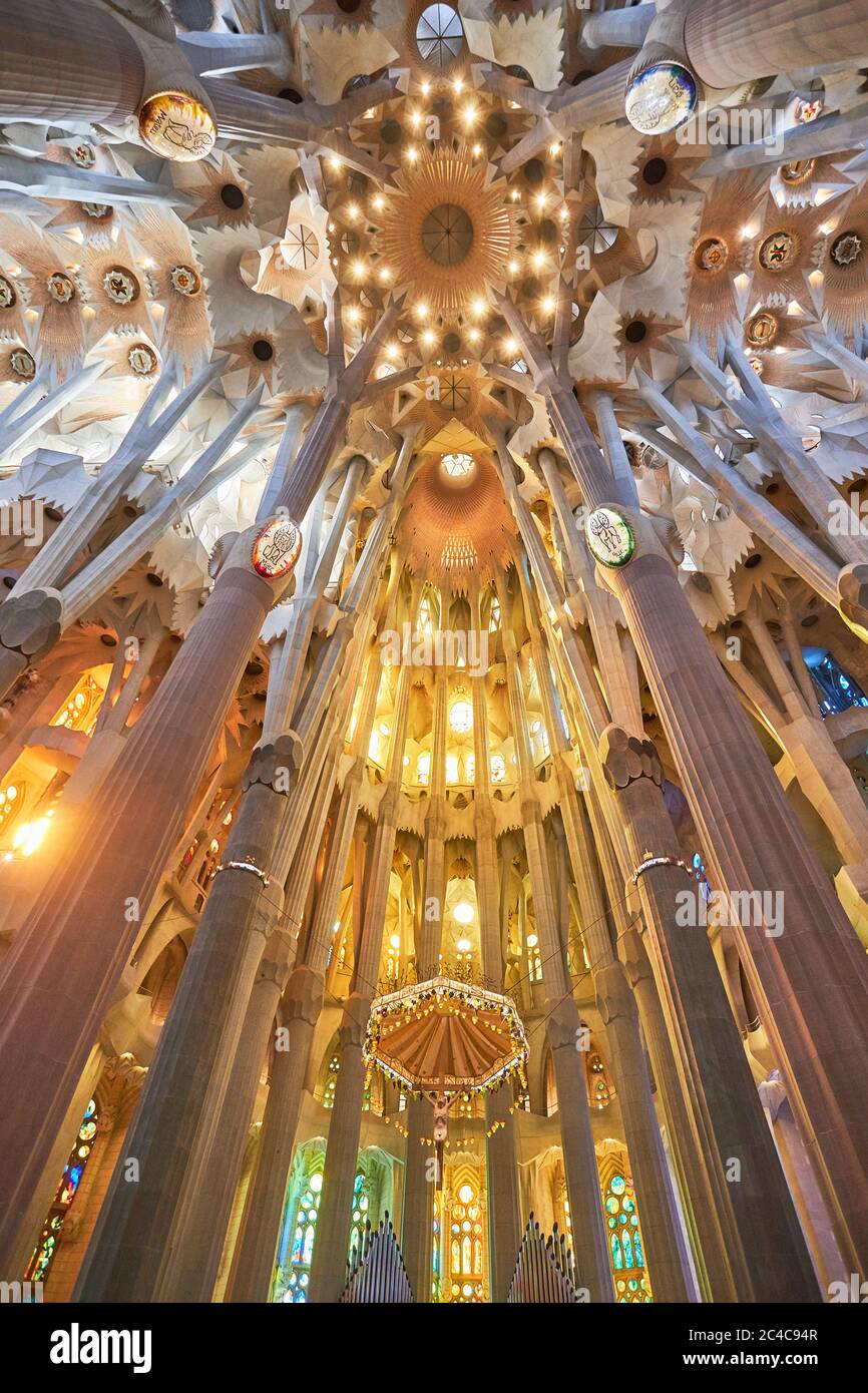 With the extraordinary roof vaulting at Sagrada Familia, Antoni Gaudi created the column supports to represent forests, looking towards the altar Stock Photo