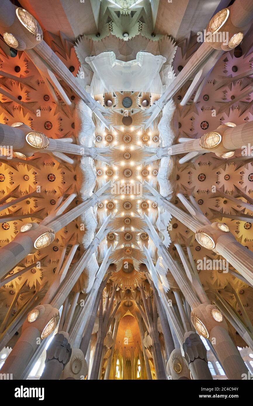 With the extraordinary roof vaulting at Sagrada Familia, Antoni Gaudi created the column supports to represent forests. Stock Photo