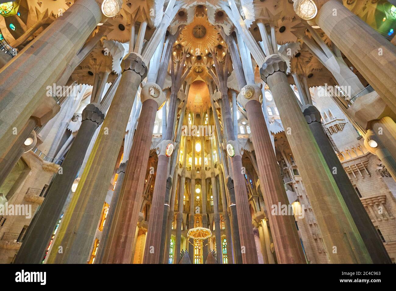 With the extraordinary roof vaulting at Sagrada Familia, Antoni Gaudi created the column supports to represent forests. Stock Photo