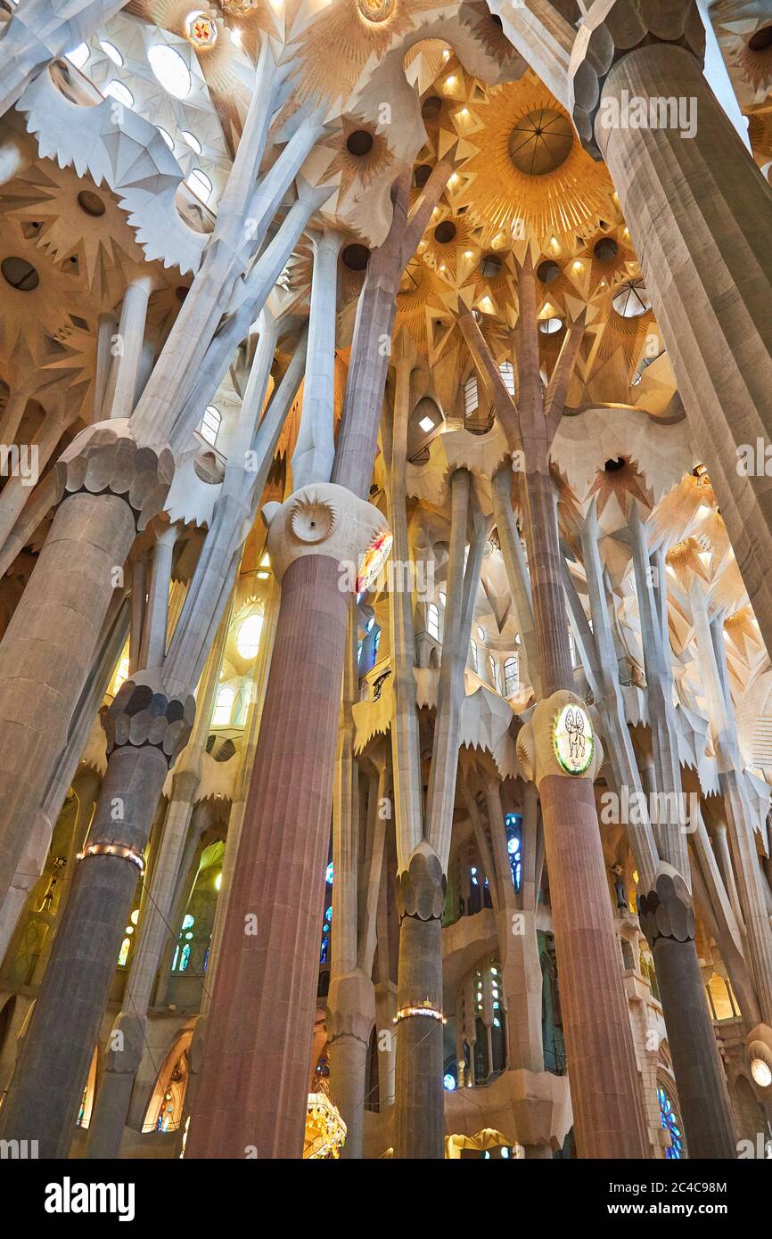 Detail of Sagrada Familia cathedral roof and vaulting in Barcelona, by Antoni Gaudi, representing the forests Stock Photo