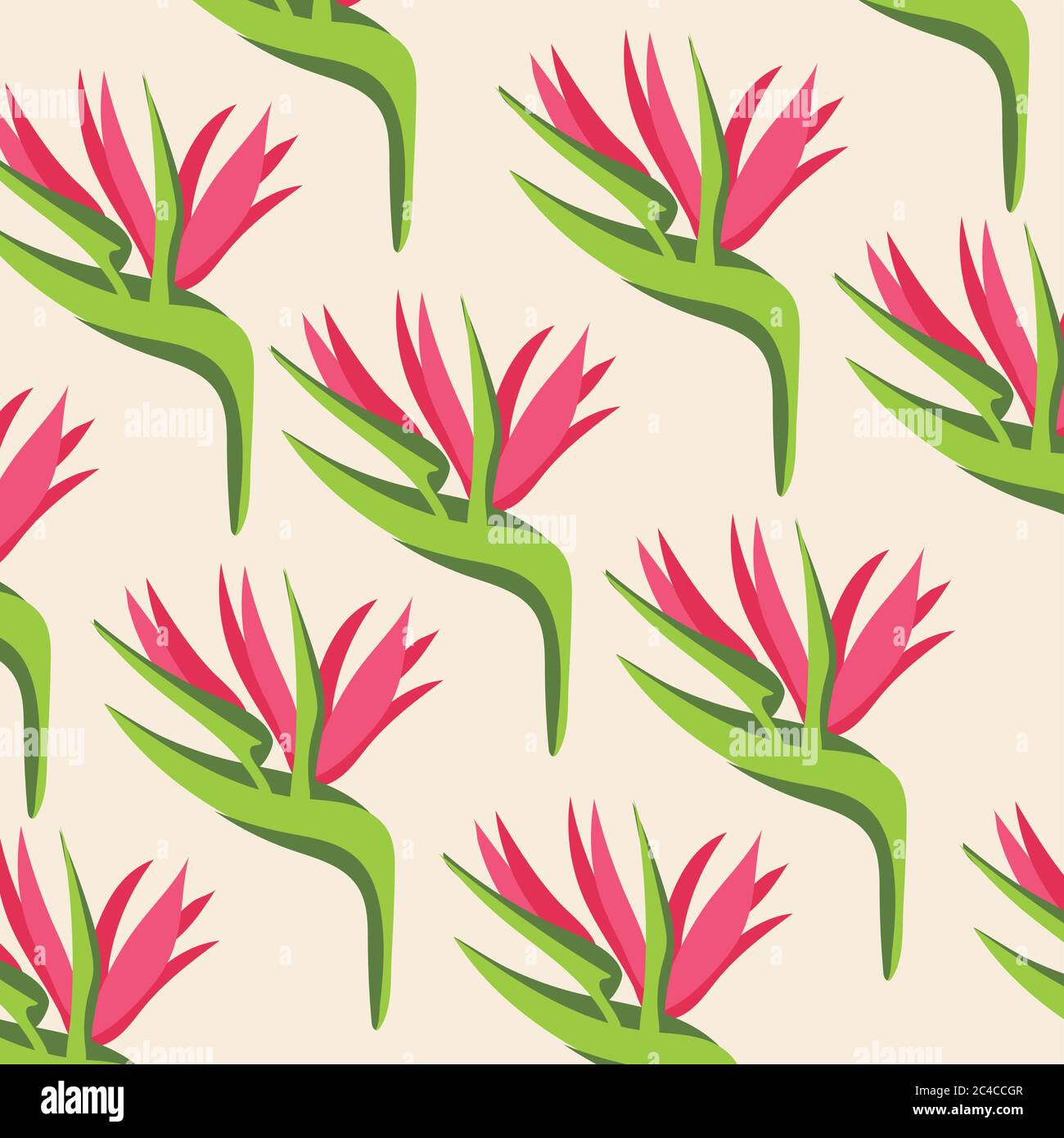 heliconias plants tropical pattern background vector illustration ...