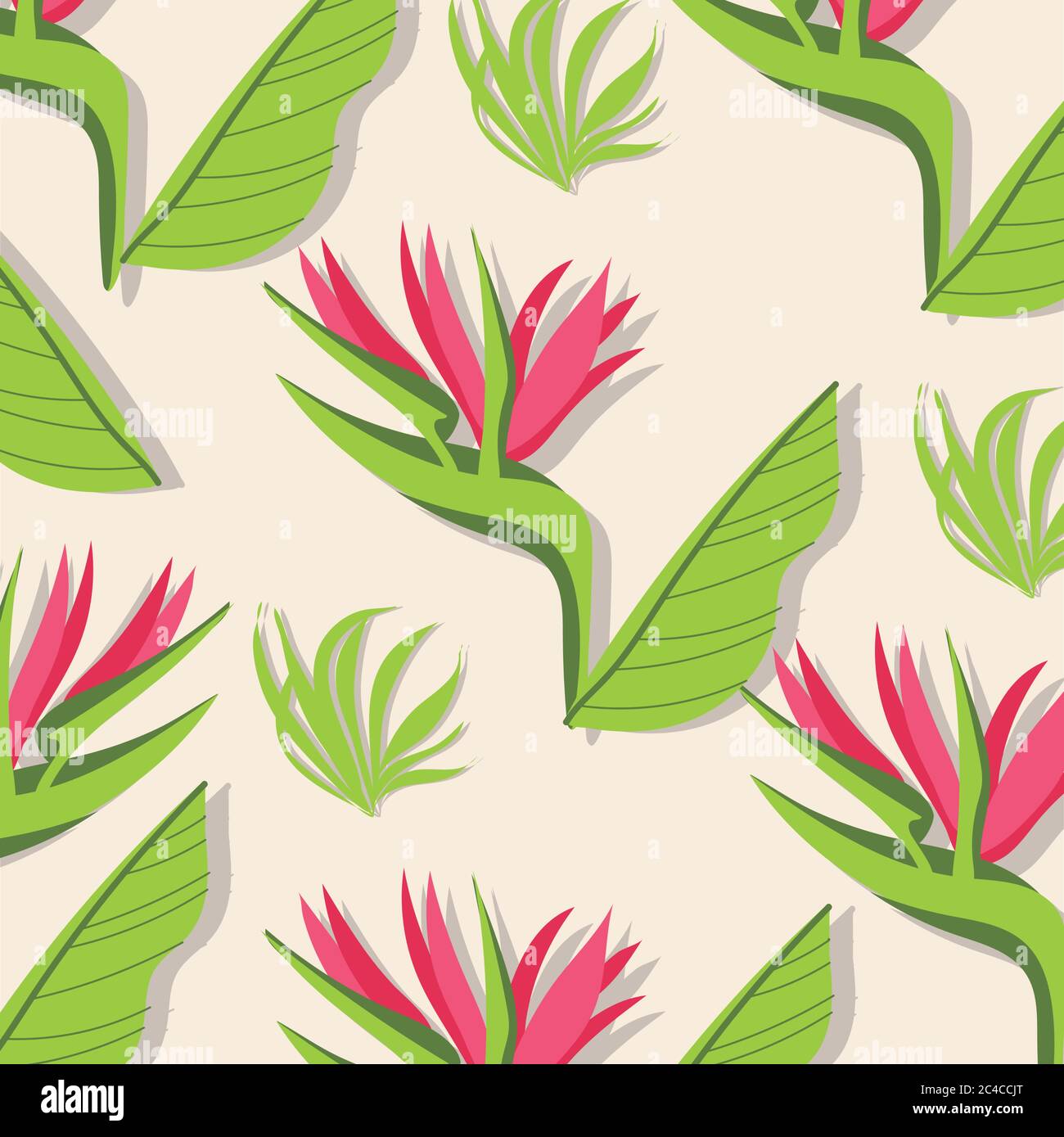 heliconias plants tropical pattern background vector illustration ...