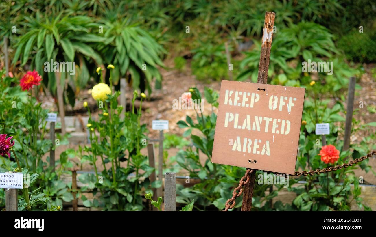 "Keep off planted area" sign at the Dahlia garden in Golden Gate Park, San Francisco, California, USA, with blooming dahlias in the background. Stock Photo