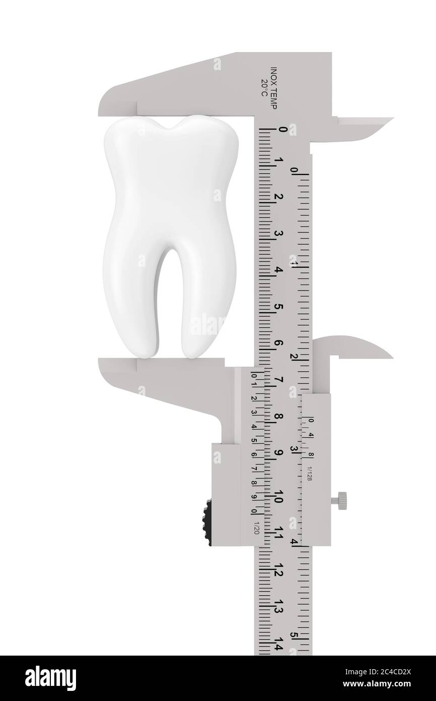 Metal Vernier Caliper with White Tooth on a white background. 3d Rendering Stock Photo