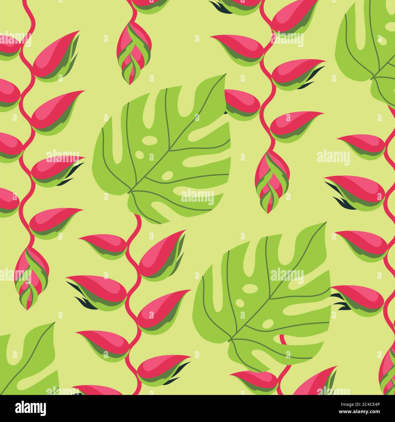 heliconias plants tropical pattern background vector illustration ...