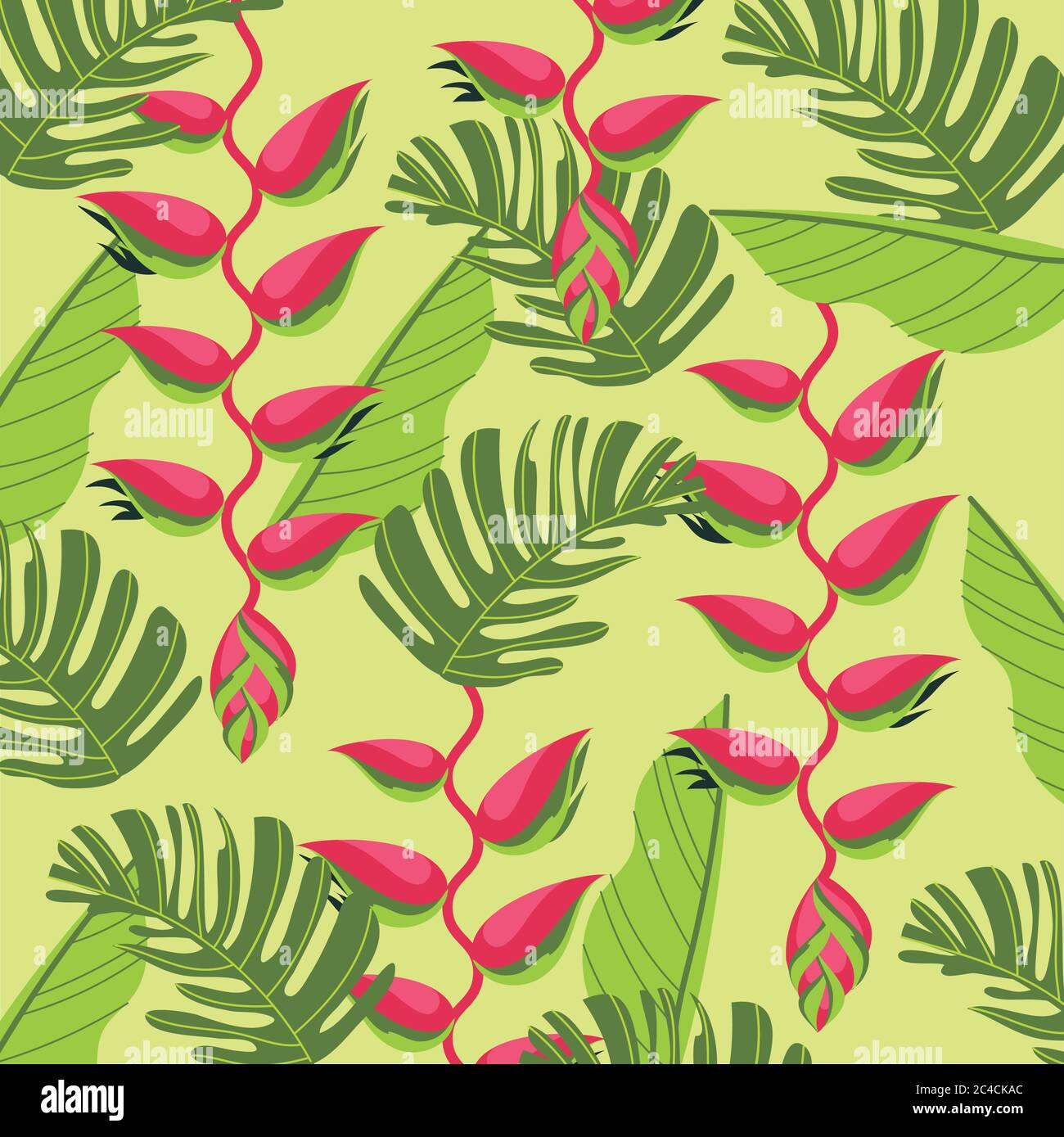 heliconias plants tropical pattern background vector illustration ...