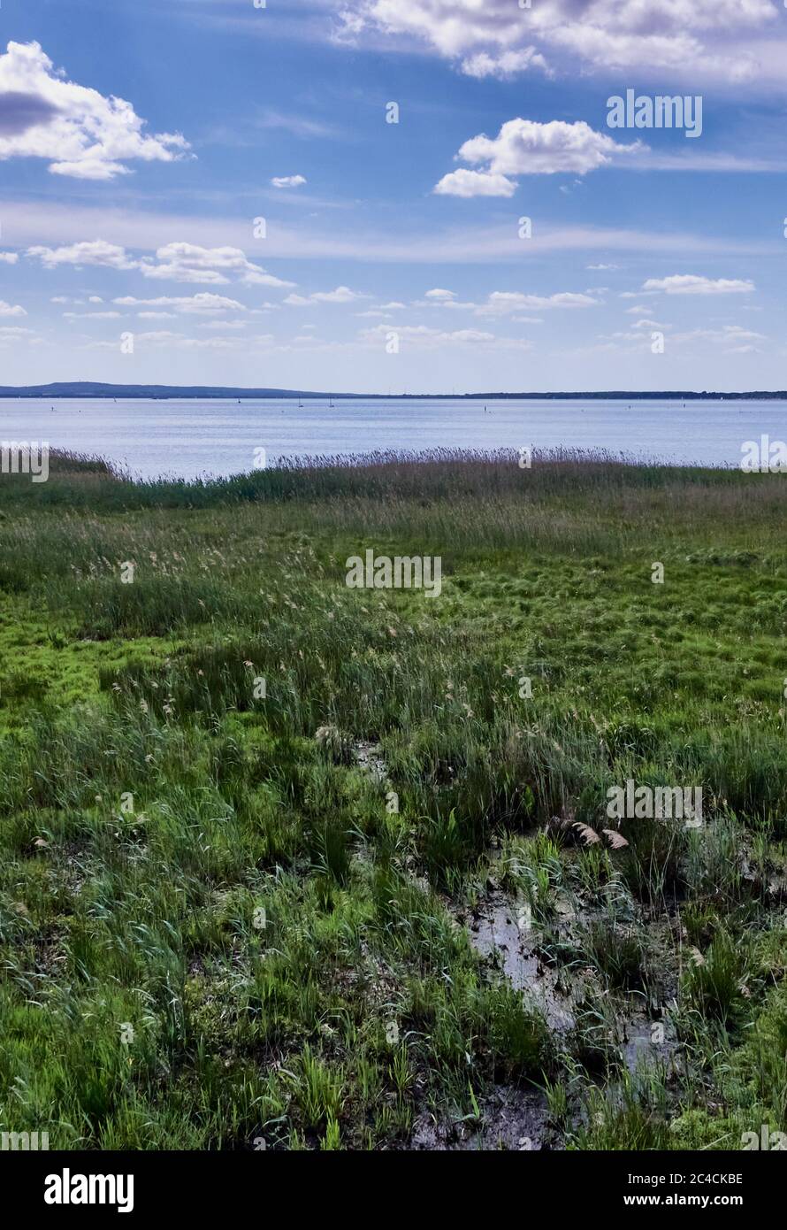 View over a moor area to an inland lake, Steinhuder Meer at the Great Moor in Germany Stock Photo