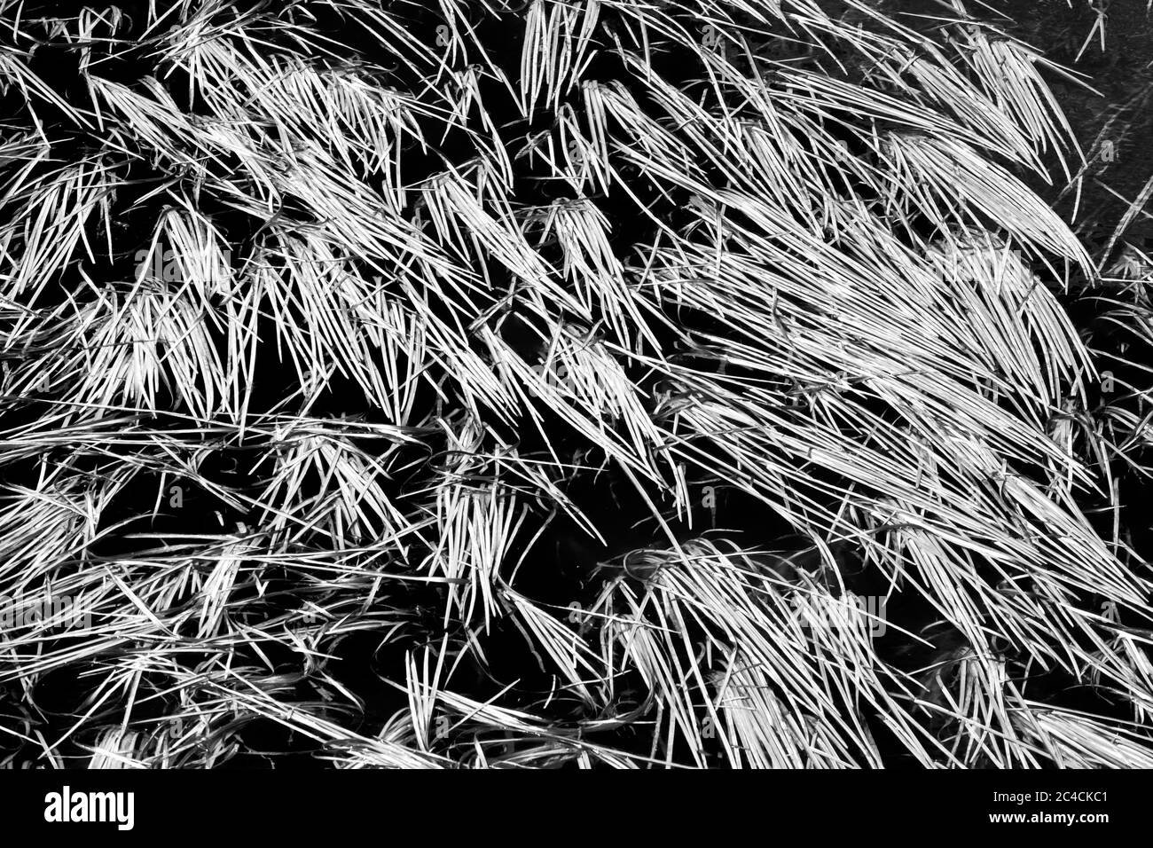 Flow regulation hires stock photography and images Alamy