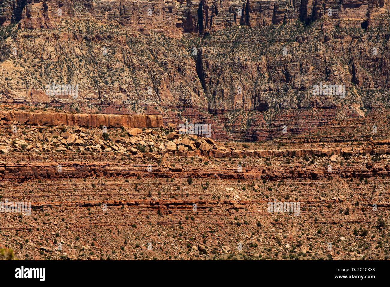 The Grand Canyon, one of the seven natural wonders of the world. Stock Photo