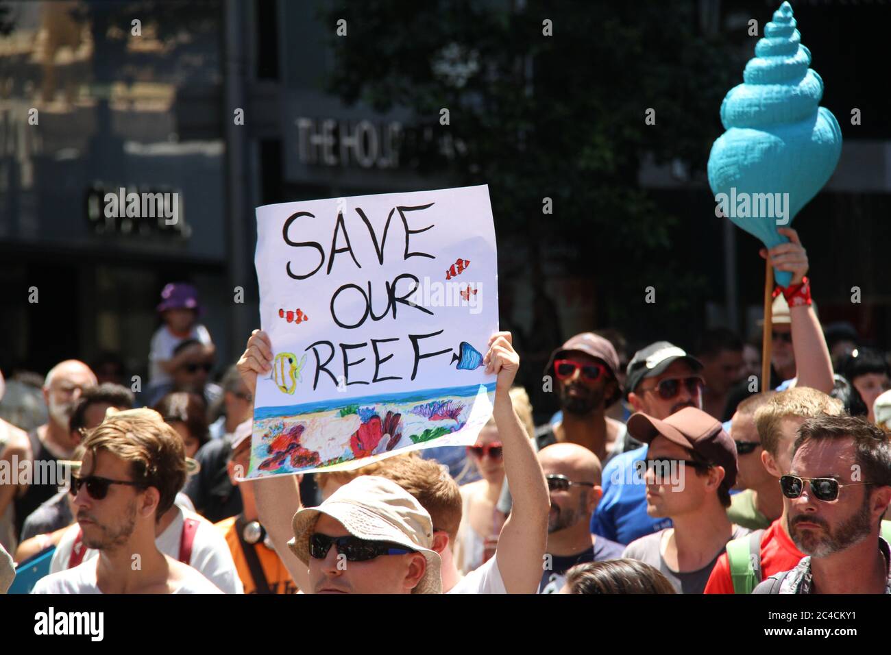 Save the great barrier reef hi-res stock photography and images - Alamy