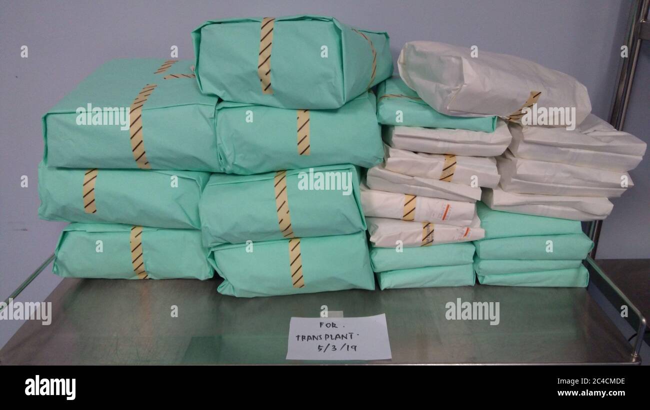 Wrapped Sterile Sets. Wrapped Sterile Instruments Stock Photo Alamy