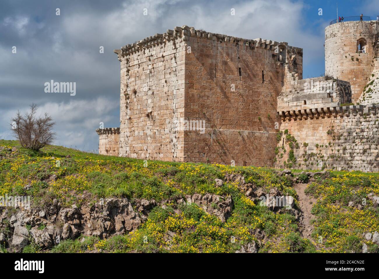 Crusaders castle Krak des Chevaliers, Castle of the Knights, Qalaat al ...