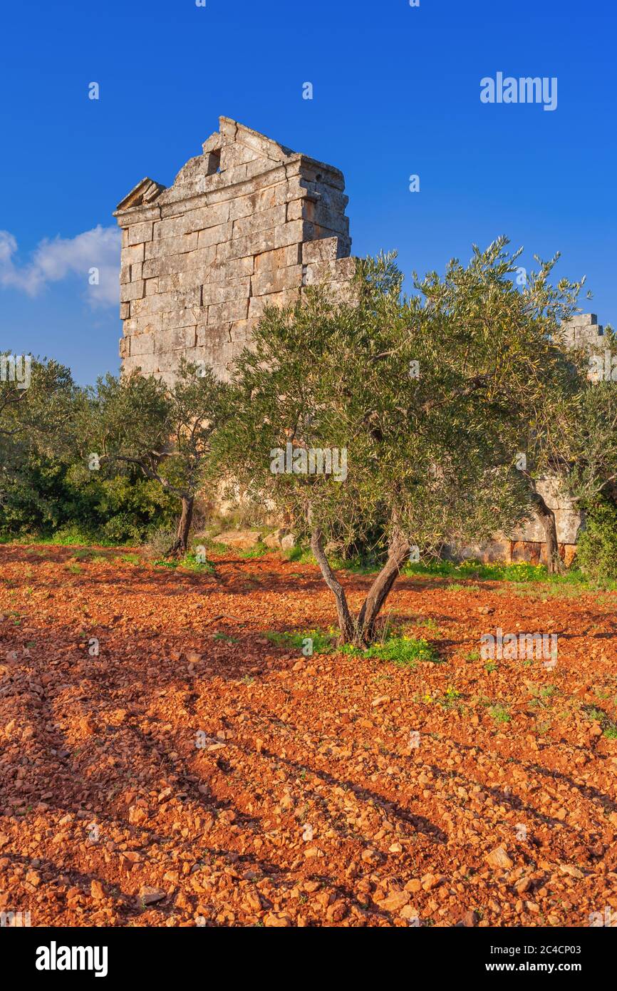 Byzantine ruins, 6th century, Baude, Syria Stock Photo