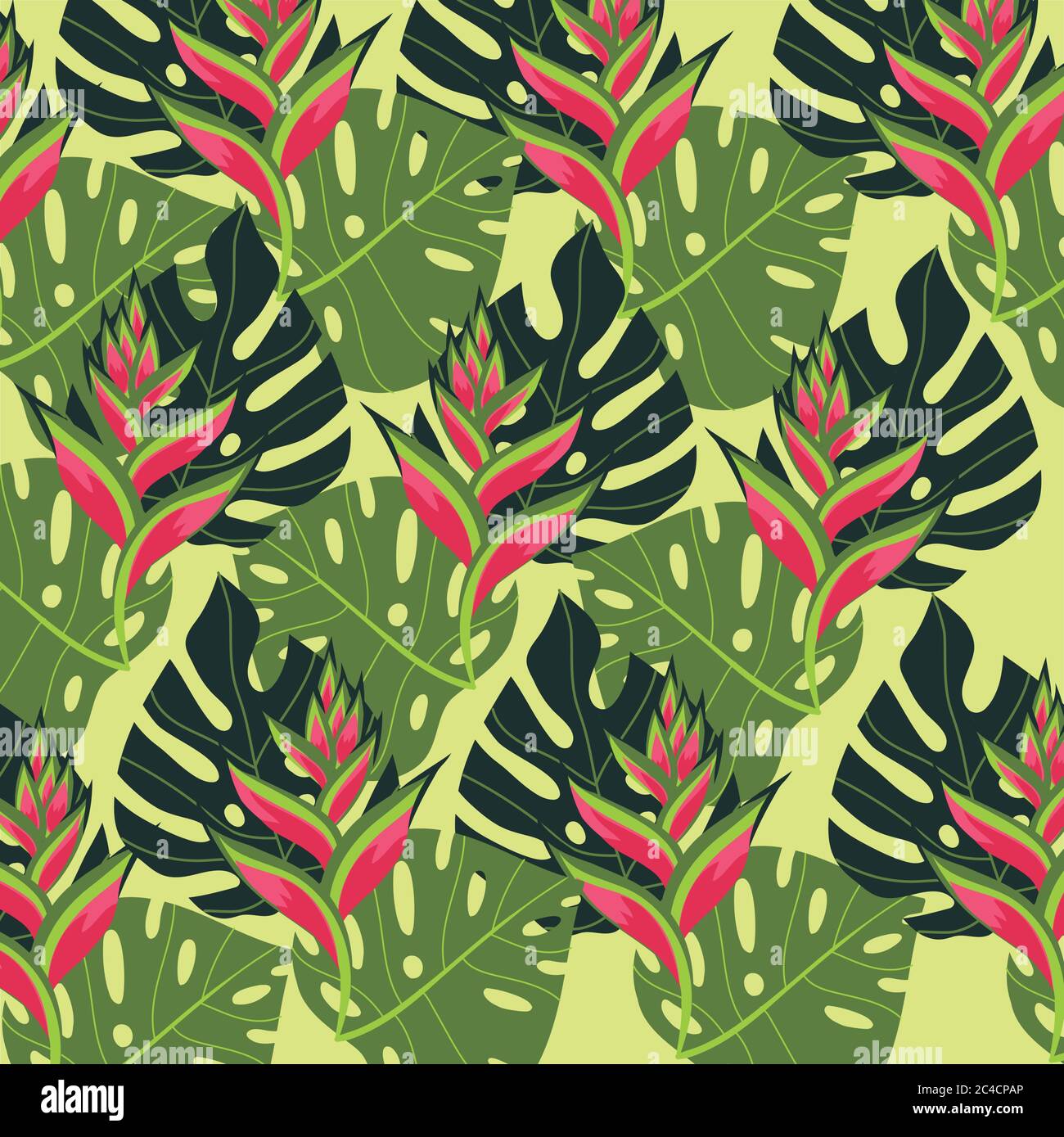 heliconias plants tropical pattern background vector illustration ...