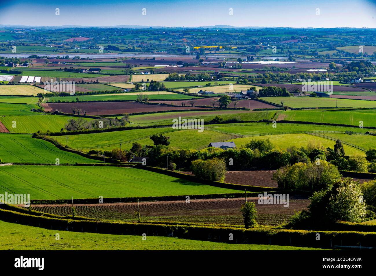 Ploughed fields and young crops near Comber Co. Down Stock Photo