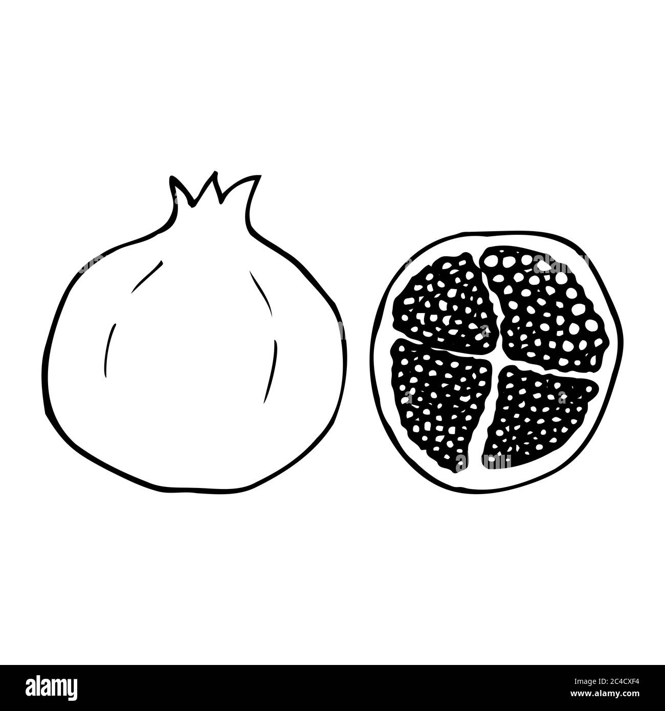 Pomegranate. Hand drawn outline doodle icon. Transparent isolated on white background. Vector illustration for greeting cards, posters, patches Stock Vector