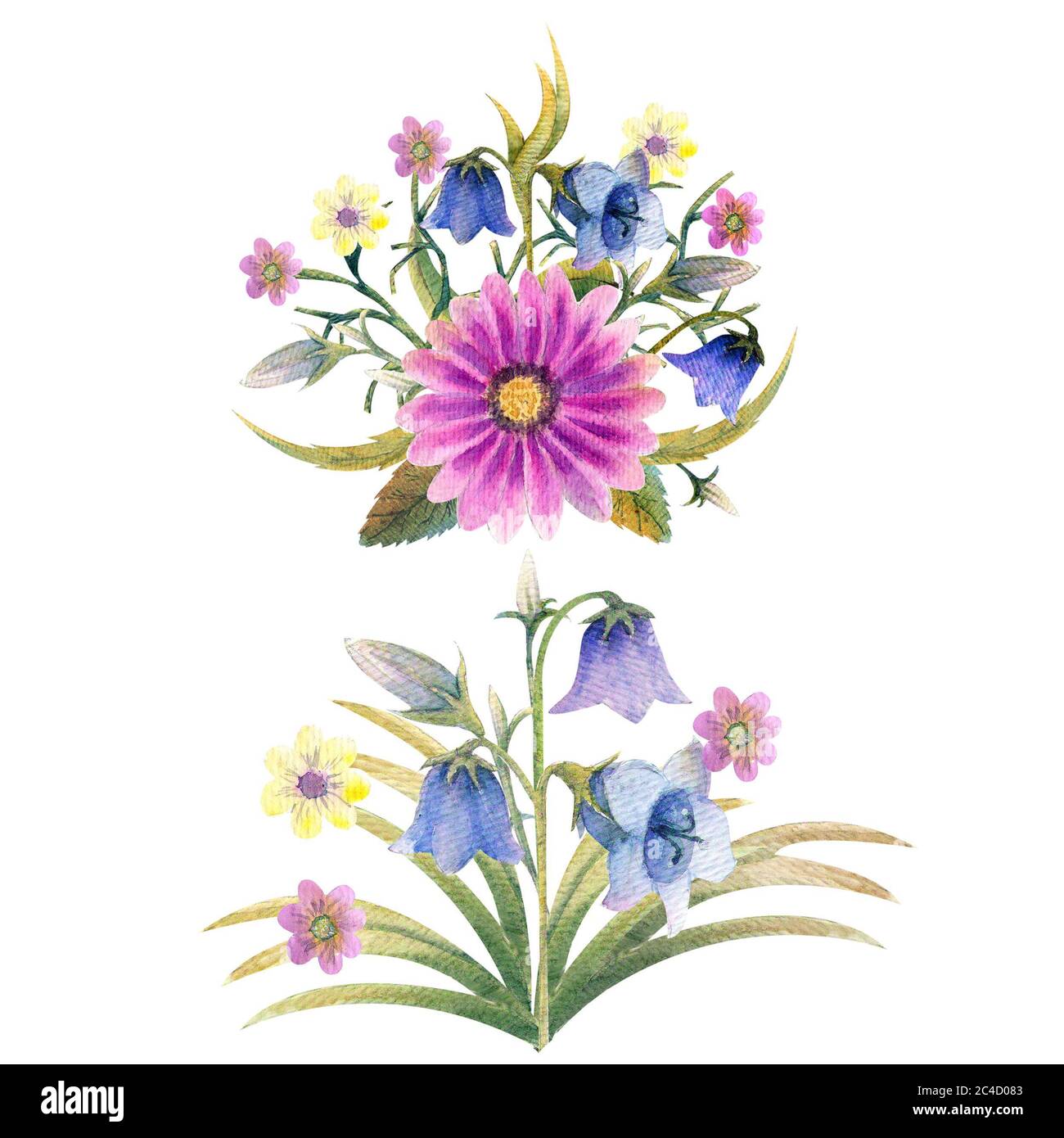 Wildflowers in watercolor Stock Photo