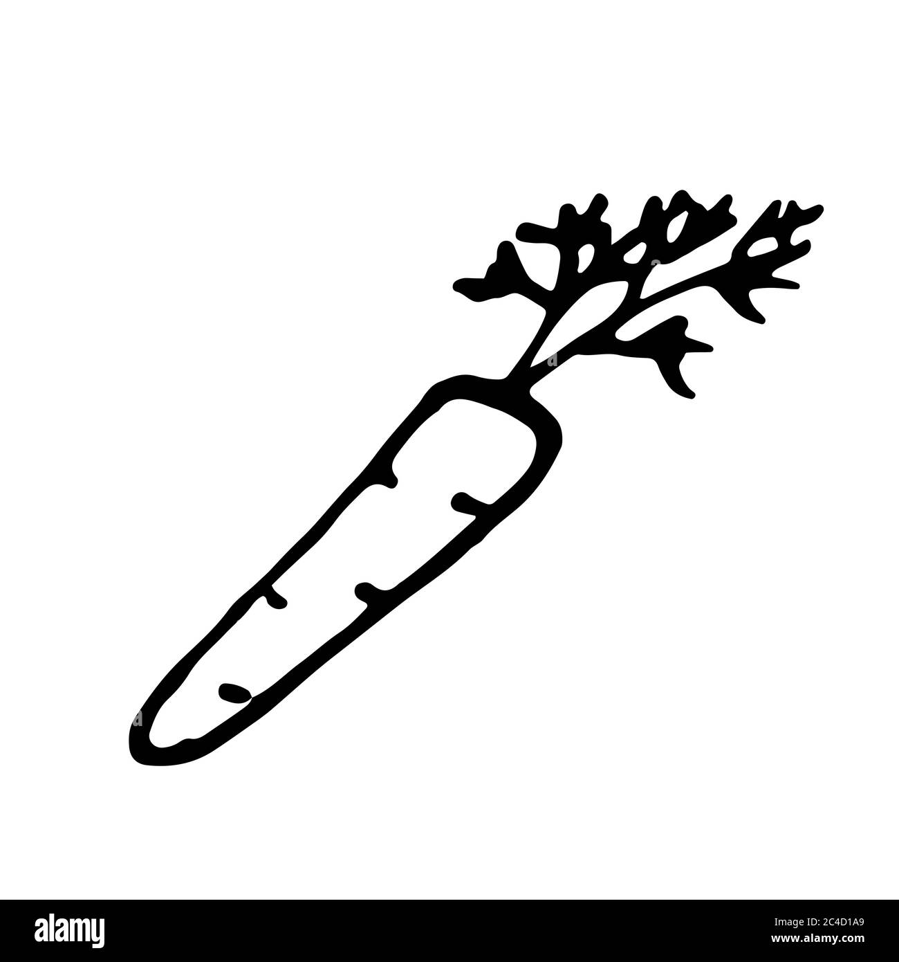 Carrot. Hand drawn outline doodle icon. Transparent isolated on white background. Vector illustration for greeting cards, posters, patches, prints Stock Vector