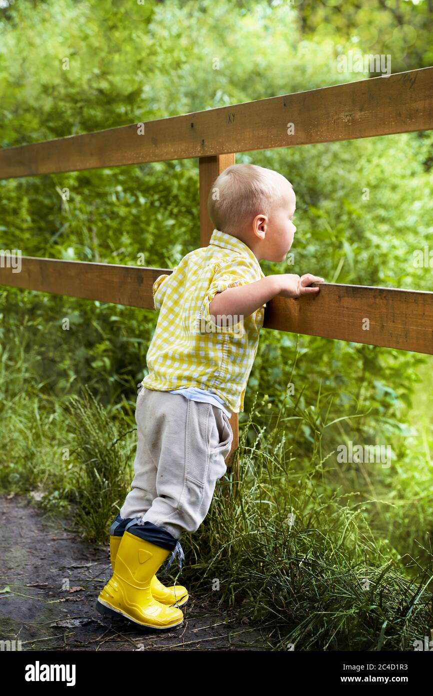 a funny little boy in yellow boots looks over the fence. summer Stock Photo