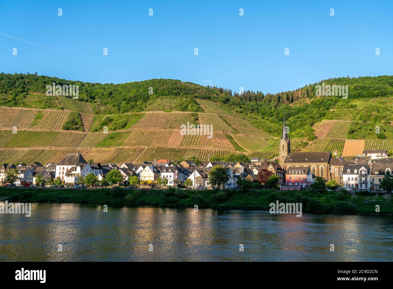 Der Weinort Neef an der Mosel, Cochem-Zell, Rheinland-Pfalz, Deutschland  |   winegrowing centre Neef and the Moselle river, Rhineland-Palatinate, Ger Stock Photo
