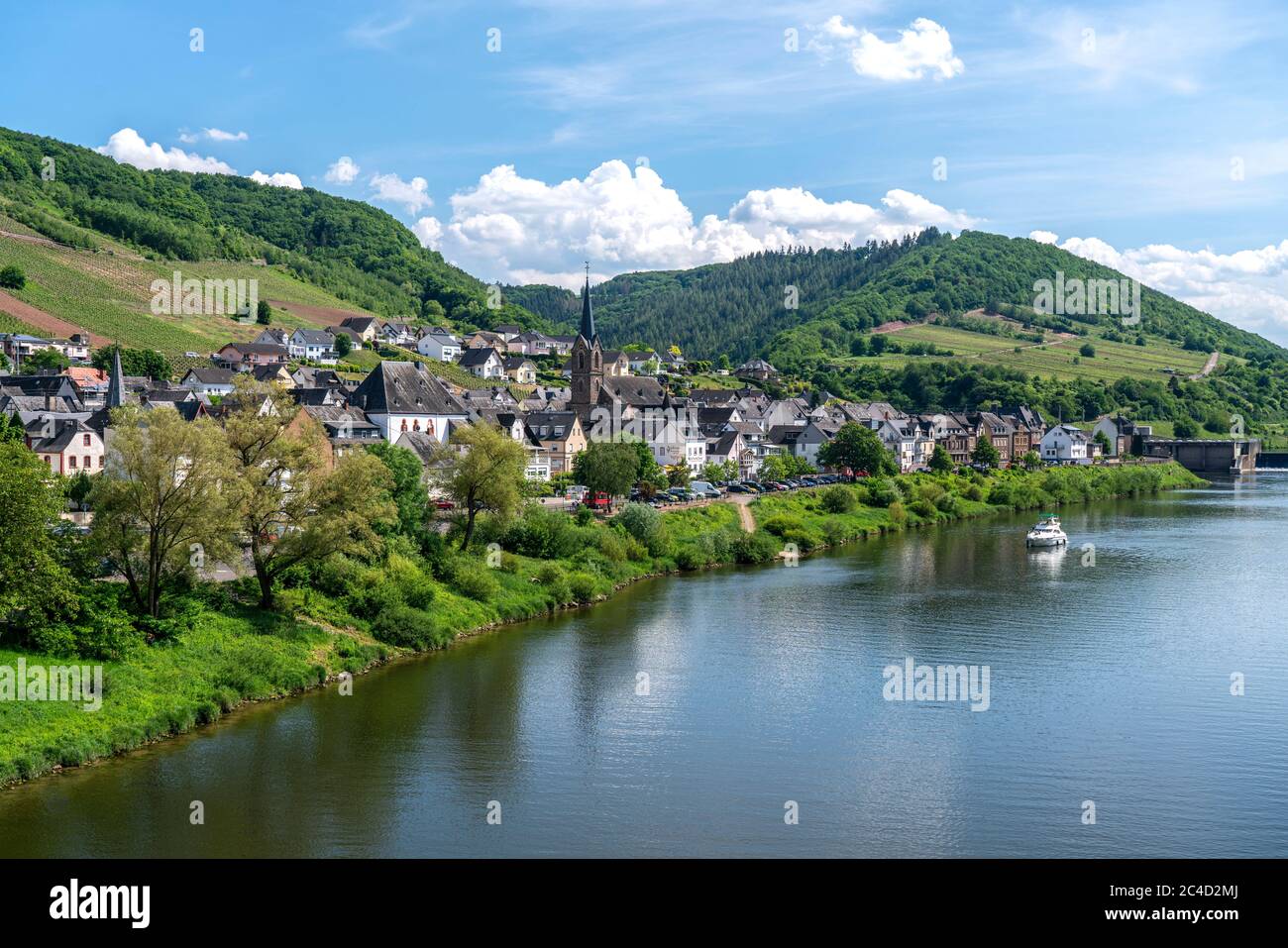 Der Weinort Neef an der Mosel, Cochem-Zell, Rheinland-Pfalz, Deutschland  |   winegrowing centre Neef and the Moselle river, Rhineland-Palatinate, Ger Stock Photo