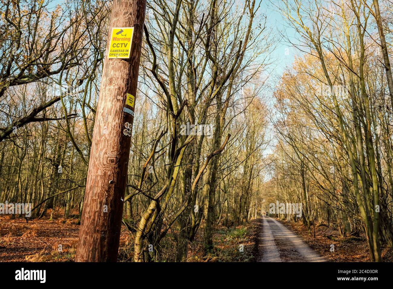 Newly installed CCTV warning sign seen high on a wooden telegraph pole