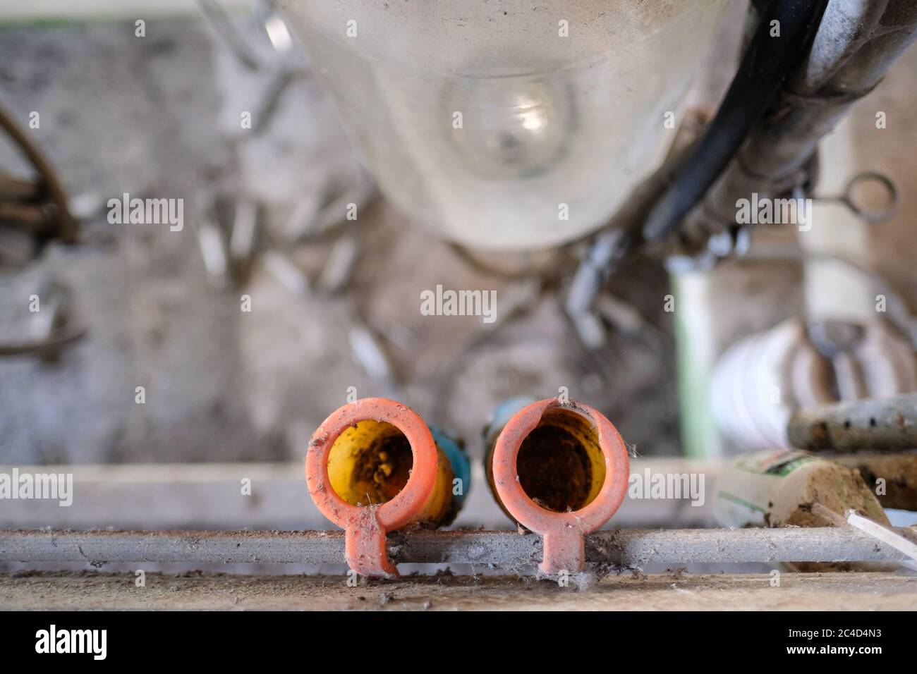 Shallow focus of a large flask used to collect milk, seen in an abandoned milking parlour. Discarded milking teats are seen littered on the parlour fl Stock Photo