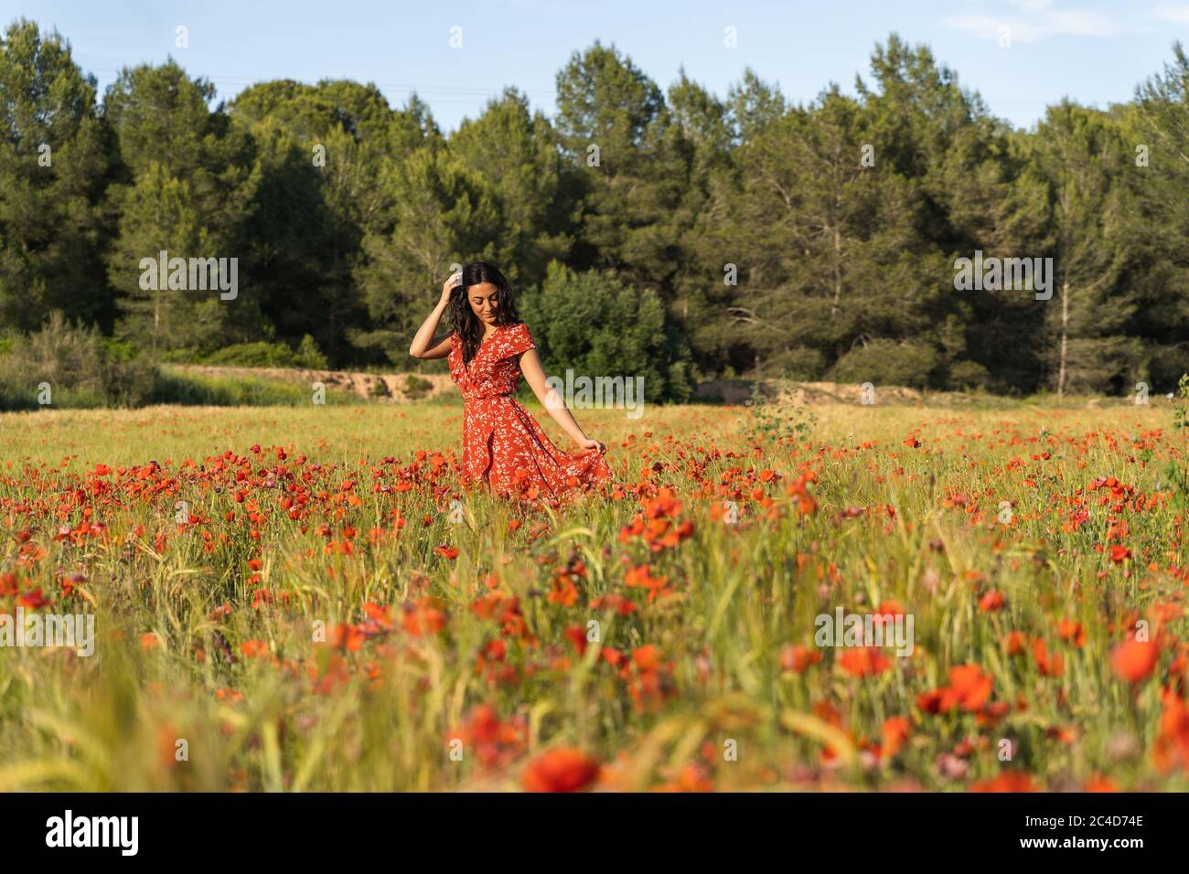 Woman in a red print dress walking with her hand in her hair and holding her dress in a field of red poppies surrounded by a forest Stock Photo
