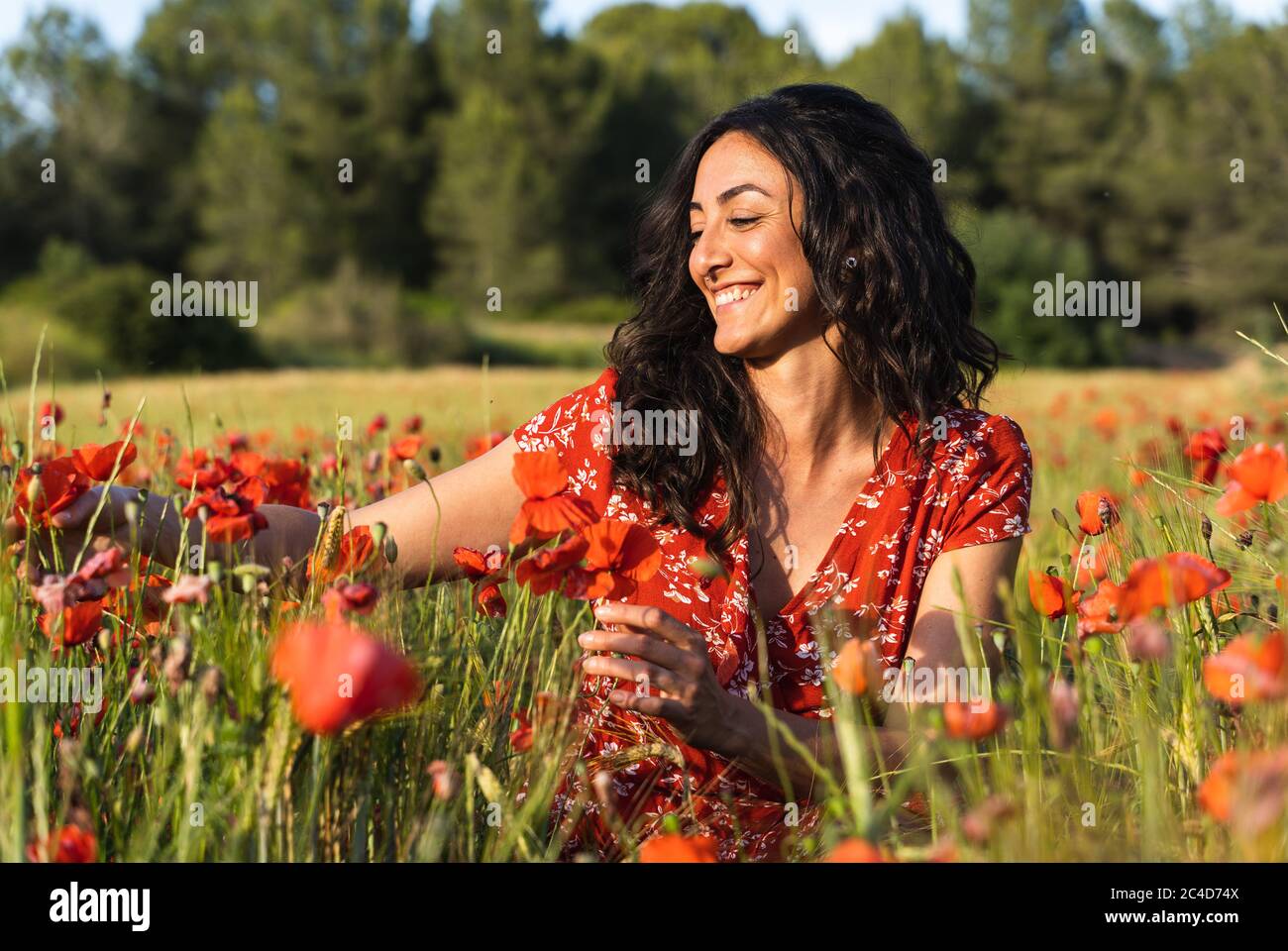 Young brunette woman in a red dress with prints crouched in the middle of a field of poppies touching the flowers while smiling Stock Photo