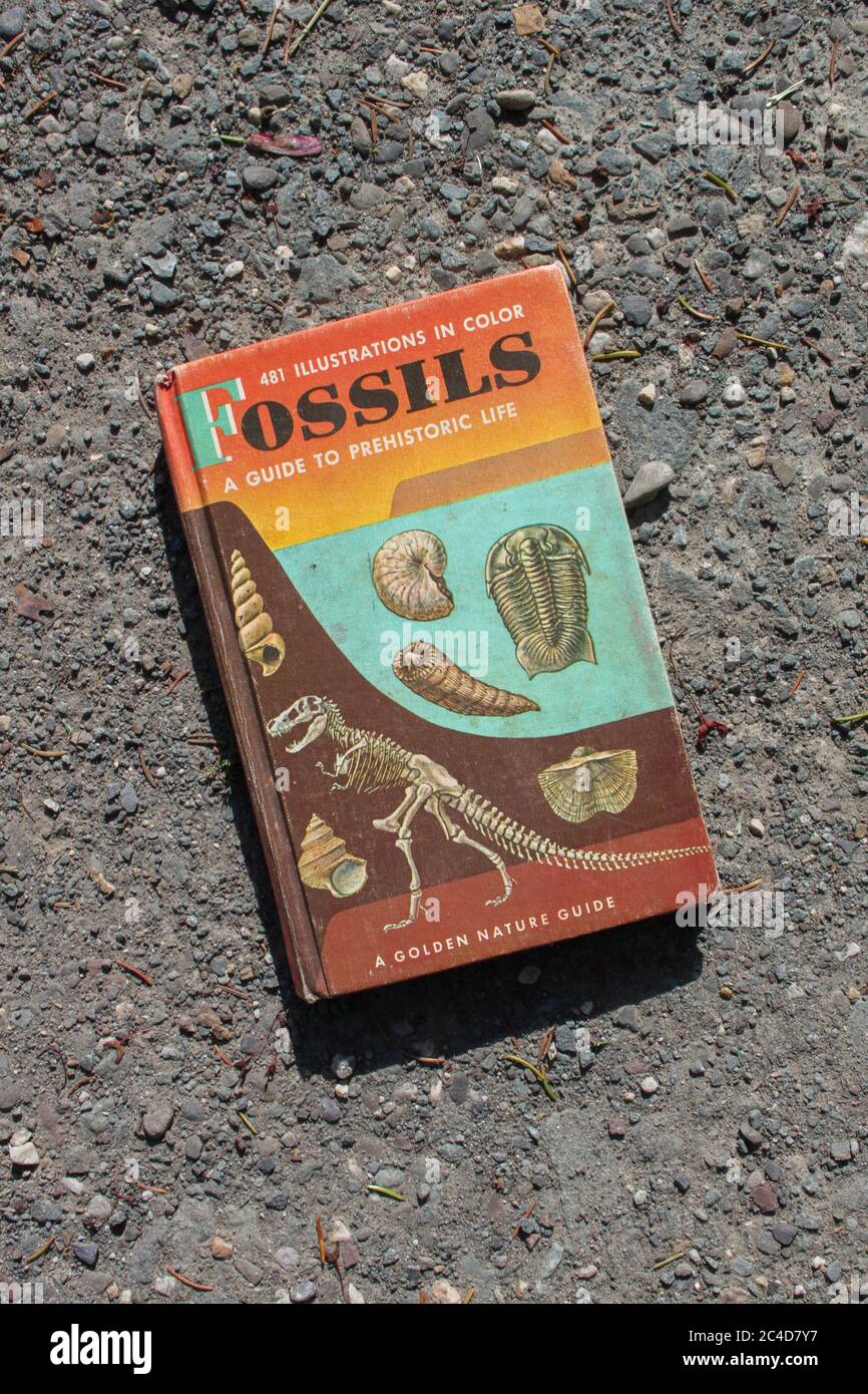 MIDDLETOWN, NY, UNITED STATES - May 20, 2020: Middletown, NY / USA - 05/20/2020: Vintage Book: Fossils A Guide To Prehistoric Life, A Golden Nature Gu Stock Photo