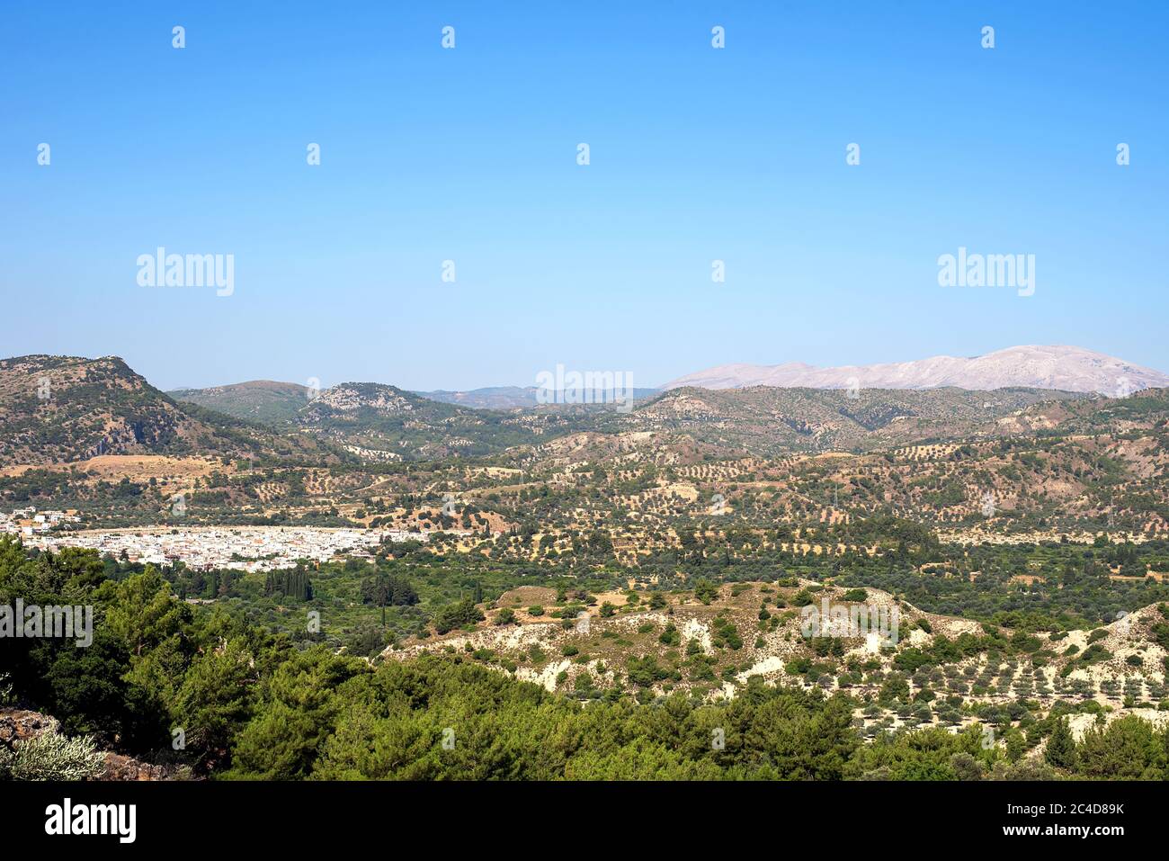 Rhodes island scenery on a sunny summer day with dry trees, green fields, brown soil and blue clear sky with haze Stock Photo