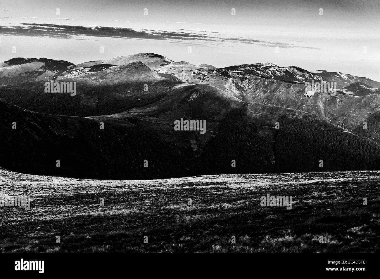Blue tree mountains horizon Black and White Stock Photos & Images - Alamy