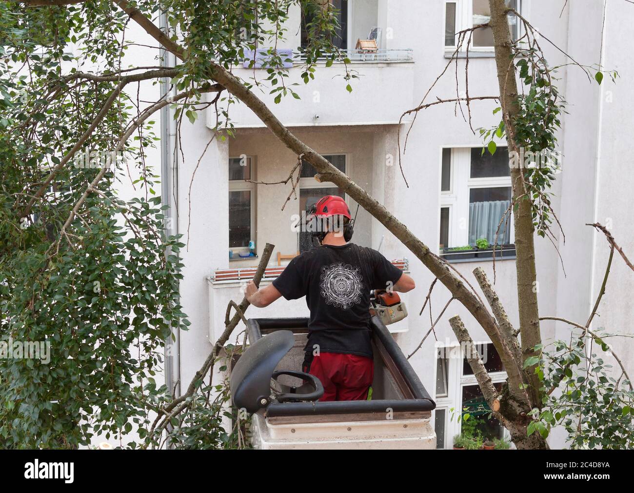 Trees are cut in Berlin Stock Photo Alamy
