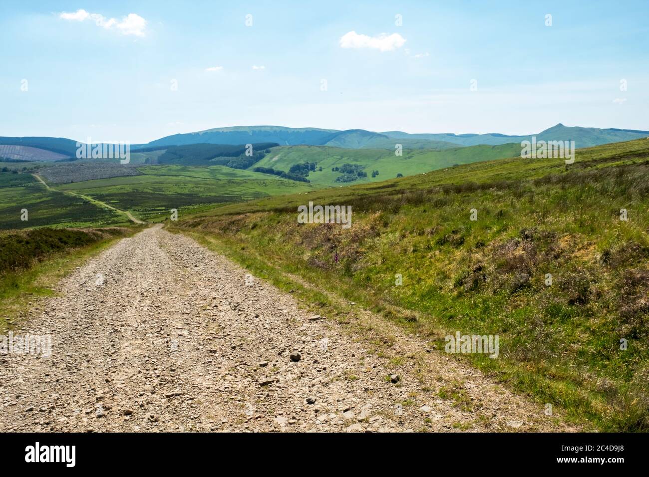 A view from Penchrise looking towards Greatmoor, Cauldcleuch Head and Skelfhill Pen a group of hills in the Southern Uplands, Scottish Borders region. Stock Photo