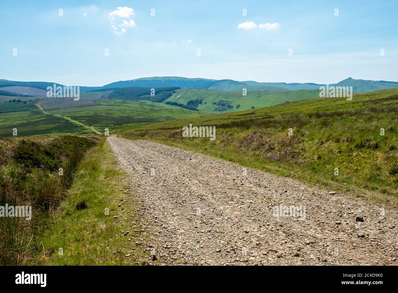 A view from Penchrise looking towards Greatmoor, Cauldcleuch Head and Skelfhill Pen a group of hills in the Southern Uplands, Scottish Borders region. Stock Photo
