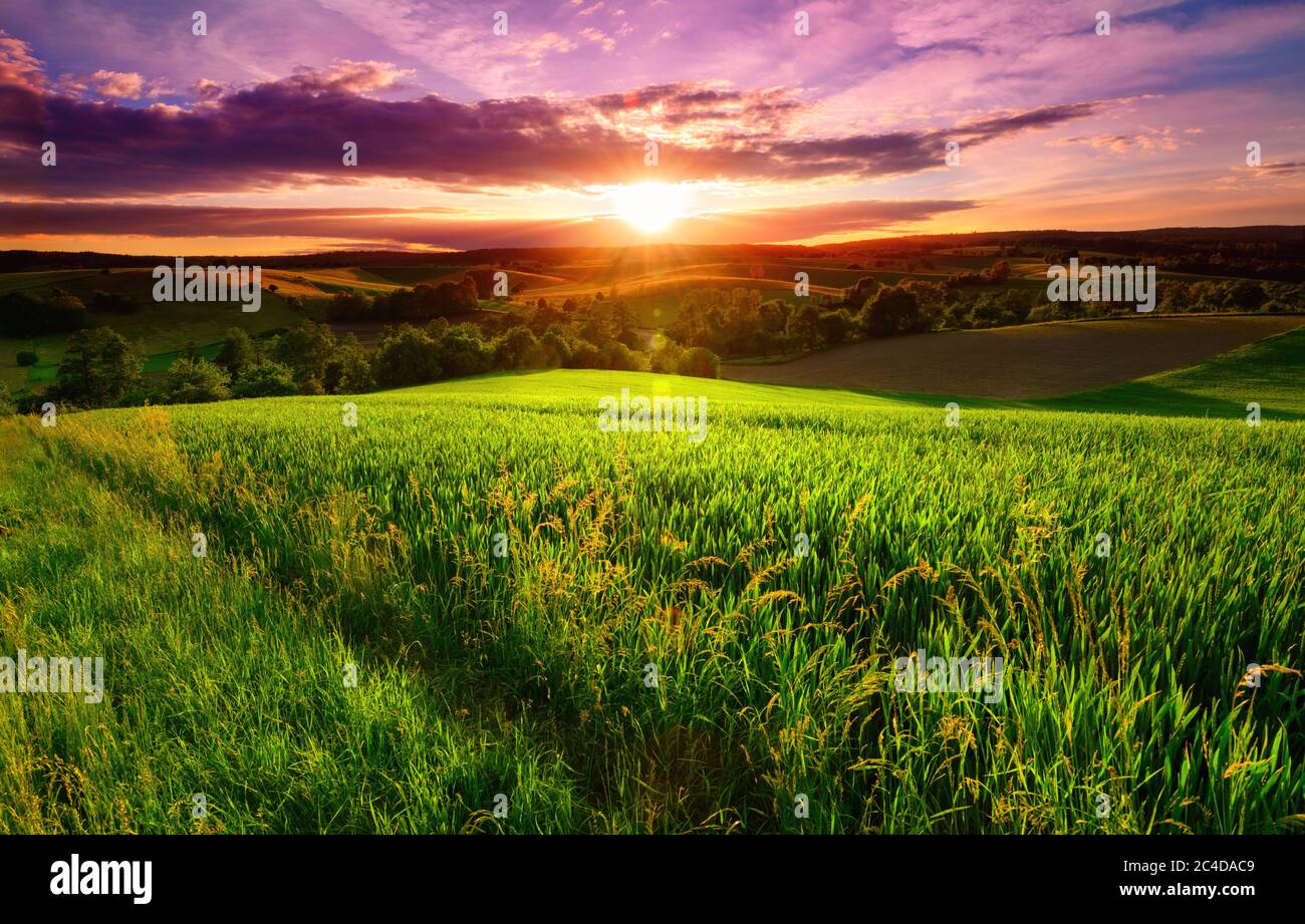 Sunset scenery on a green field with forests and hills on the horizon and the sky painted in gorgeous dramatic and emotional colors Stock Photo