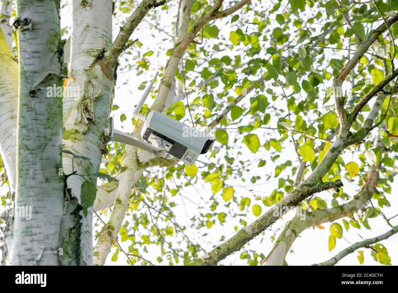 Newly installed, 4K WiFi IP Security camera using integral Solar Panel for complete wire free operation. Stock Photo