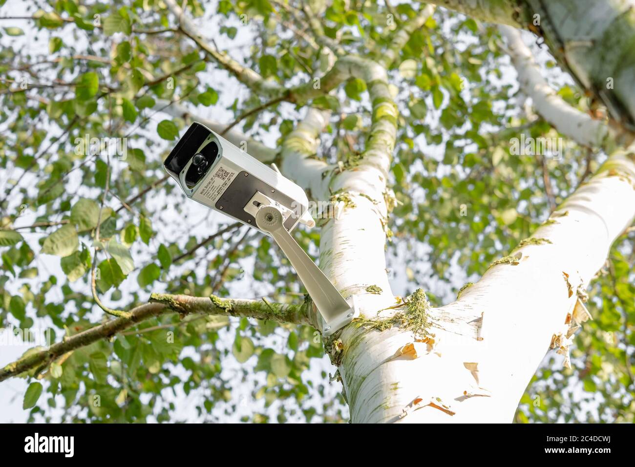 Newly installed, 4K WiFi IP Security camera using integral Solar Panel for complete wire free operation. Stock Photo