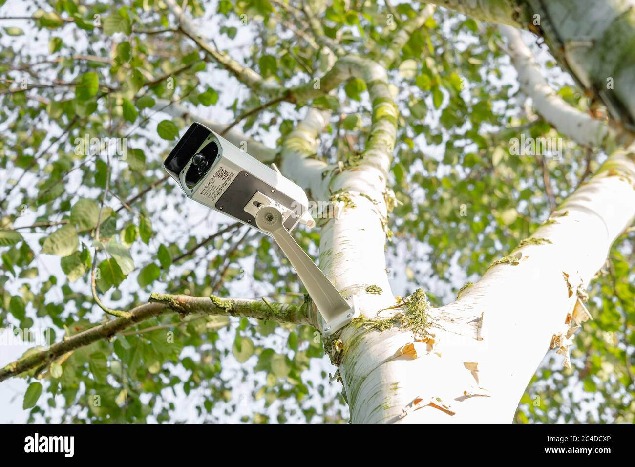 Newly installed, 4K WiFi IP Security camera using integral Solar Panel for complete wire free operation. Stock Photo