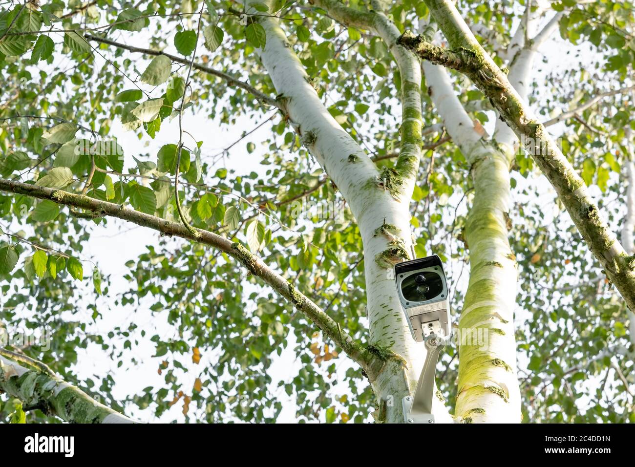 Newly installed, 4K WiFi IP Security camera using integral Solar Panel for complete wire free operation. Stock Photo