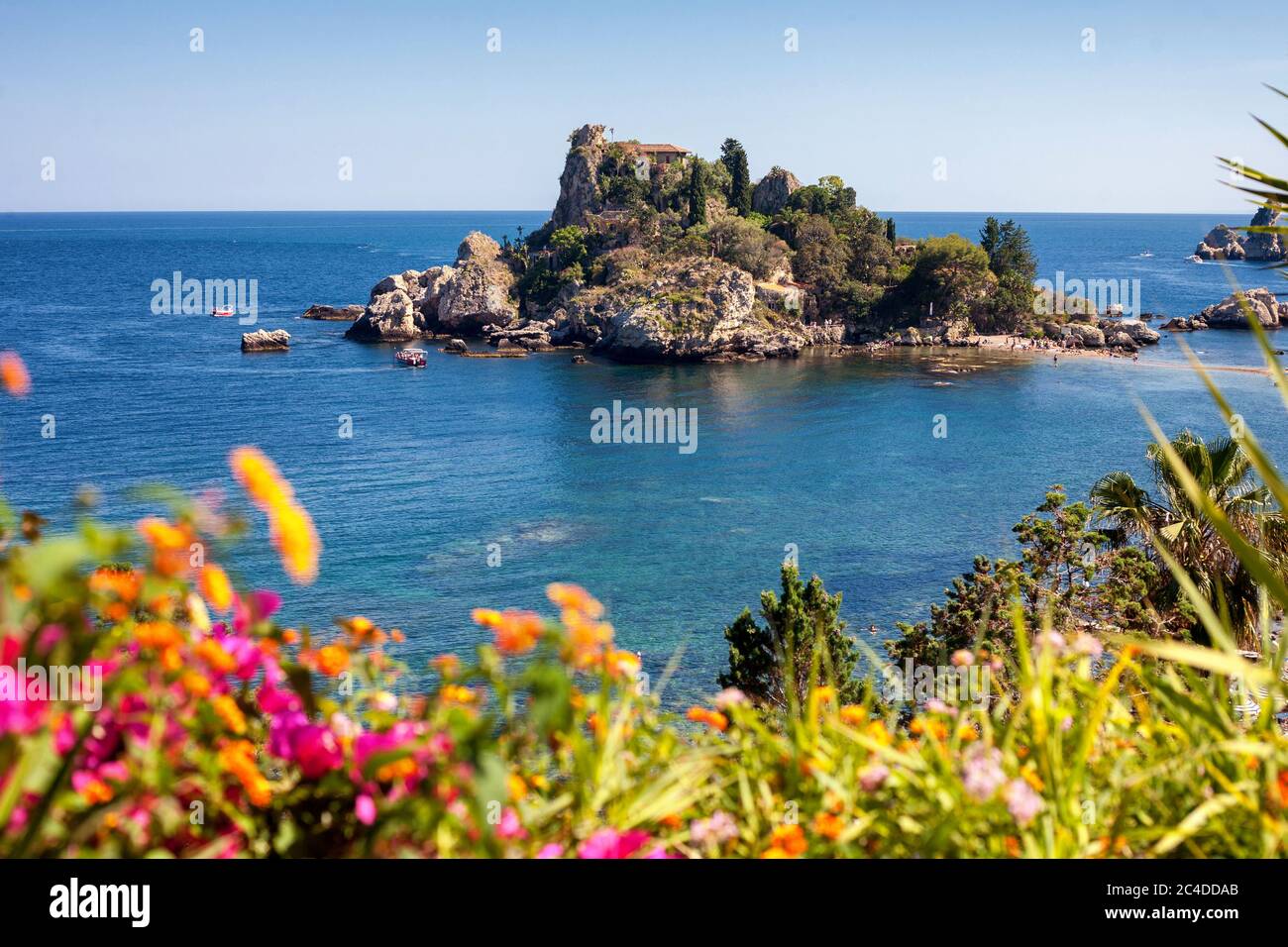 The Isola Bella island and beach with blurred flowers in the front in Taormina, Italy Stock Photo