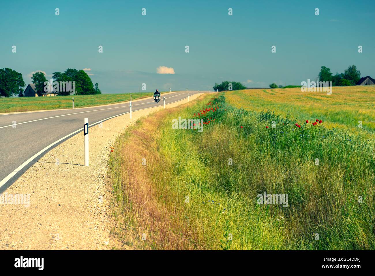 Asphalt road between agricultural fields of Latvia Stock Photo